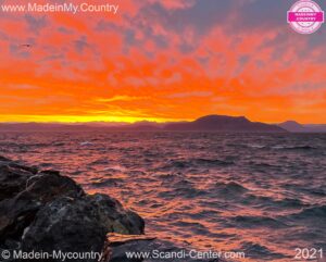 MadeinMycountry MadeinMycountryCom MadeinMycountry International