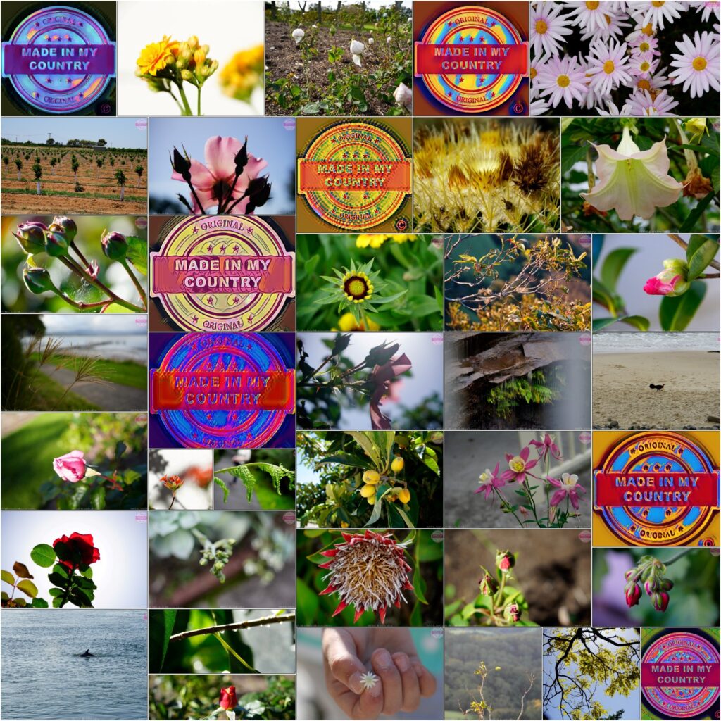 Made in Australia! MadeinMycountry is a global platform that celebrates and supports local history, culture, art and nature conservation efforts.